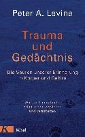 Trauma und Gedächtnis