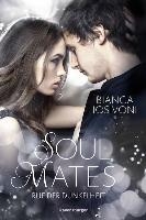 Soul Mates, Band 2: Ruf der Dunkelheit