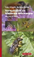 Taschenlexikon der Wildbienen Mitteleuropas voorzijde