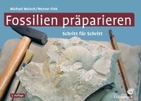 Fossilien präparieren