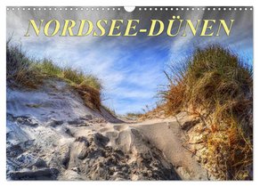 Nordsee-Dünen (Wandkalender 2026 DIN A3 quer), CALVENDO Monatskalender