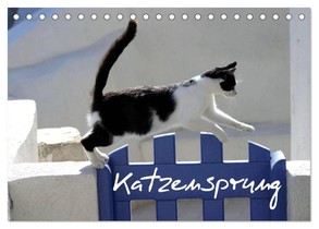 Katzensprung (Tischkalender 2026 DIN A5 quer), CALVENDO Monatskalender