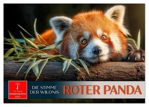 Roter Panda - die Stimme der Wildnis (Wandkalender 2026 DIN A2 quer), CALVENDO Monatskalender