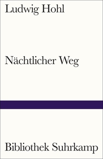 Nächtlicher Weg