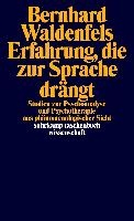 Erfahrung, die zur Sprache drängt