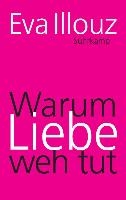 Warum Liebe weh tut voorzijde