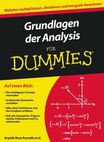 Grundlagen der Analysis fur Dummies voorzijde