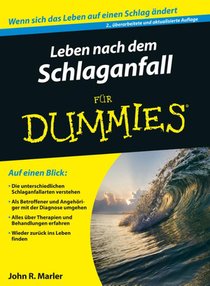 Zuruck ins Leben nach dem Schlaganfall fur Dummies