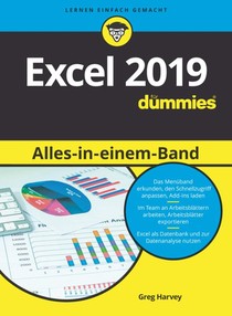 Excel 2019 Alles-in-einem-Band fur Dummies voorzijde