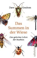 Das Summen in der Wiese