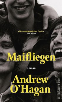 Maifliegen