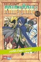 Fairy Tail 43