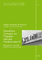 Grundkurs Literatur aus Flandern und den Niederlanden II