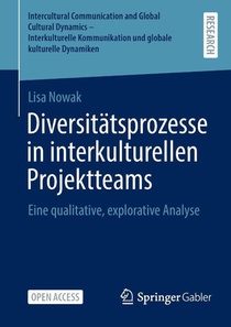 Diversitatsprozesse in interkulturellen Projektteams
