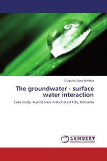 The groundwater - surface water interaction