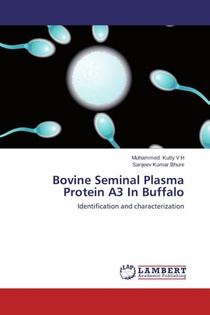 Bovine Seminal Plasma Protein A3 In Buffalo
