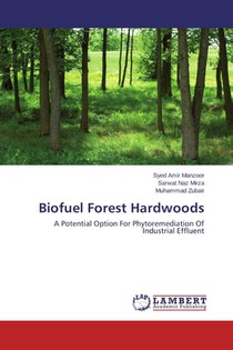 Biofuel Forest Hardwoods