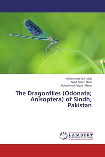 The Dragonflies (Odonata; Anisoptera) of Sindh, Pakistan