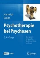 Psychotherapie Bei Psychosen