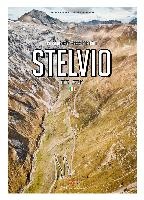 Porsche Drive: Stelvio