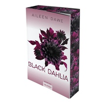 Black Dahlia