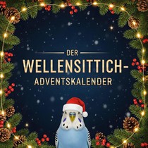 Der Wellensittich-Adventskalender