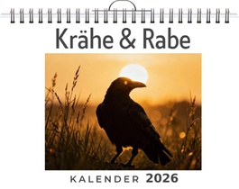Krähe & Rabe