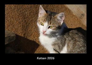 Katzen 2026 Fotokalender DIN A3