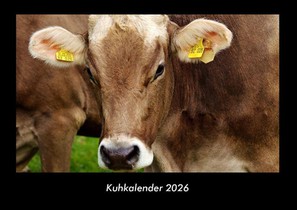 Kuhkalender 2026 Fotokalender DIN A3