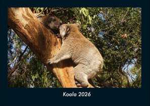 Koala 2026 Fotokalender DIN A4