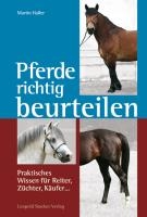 Pferde richtig beurteilen