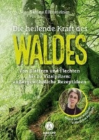 Die heilende Kraft des Waldes