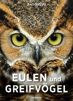 Eulen und Greifvögel