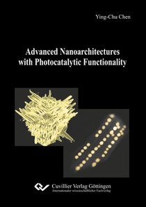 Advanced Nanoarchitectures with Photocatalytic Functionality