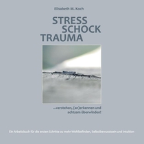 Stress Schock Trauma ... verstehen, (an)erkennen und achtsam uberwinden