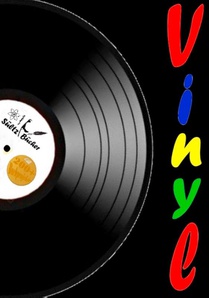 Vinyl - Meine Schallplattensammlung - Sammelbuch/Notizbuch fur LP- und Single-Schallplatten