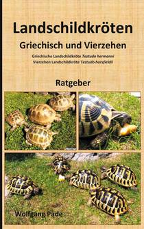 Landschildkroeten Griechisch und Vierzehen