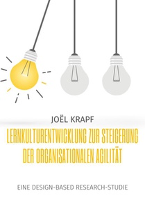 Lernkulturentwicklung zur Steigerung der organisationalen Agilitat
