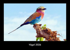 Vögel 2026 Fotokalender DIN A3