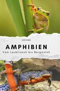 Amphibien