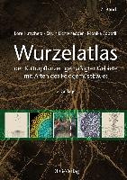Wurzelatlas der Kulturpflanzen gemäßigter Gebiete mit Arten des Feldgemüsebaues