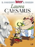 Asterix latein 24