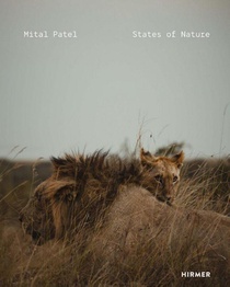 Mital Patel