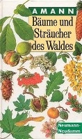 Bäume und Sträucher des Waldes