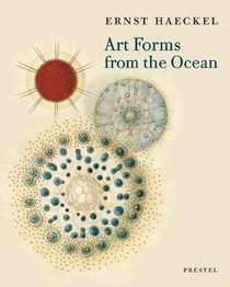 Art Forms from the Ocean