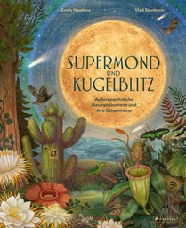 Supermond und Kugelblitz