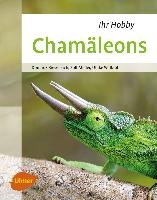 Chamäleons