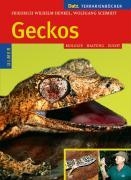 Geckos voorzijde