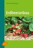 ERDBEERANBAU