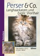 Perser und Co. Langhaarkatzen und Exotic Shorthair voorzijde